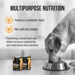 Nutrience Grain Free Subzero Wet Dog Food 369g