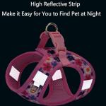 XXS Step-In Dog Harness and Leash Set