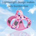 XXS Step-In Dog Harness and Leash Set