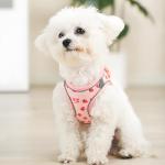 Flower Print Step-In Dog Harness and Leash Set