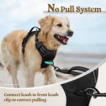 Rabbitgoo No Pull Dog Harness with 2 Leash Clips