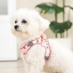 Flower Print Step-In Dog Harness and Leash Set