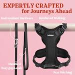 Rabbitgoo Adjustable Cat Harness and Leash Set