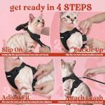 Rabbitgoo Adjustable Cat Harness and Leash Set
