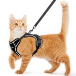 Adjustable Escape-Proof Cat Harness and Leash Set