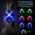 LED Light Up Dog Harness for Night Safety