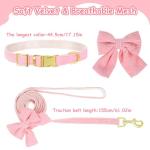 Cute Pink Dog Collar and Leash Set with Bowtie