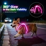 LED Light Up Dog Harness for Night Safety
