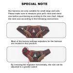 Soft Mesh Dog and Cat Harness Set