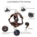 Soft Mesh Dog and Cat Harness Set