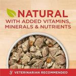 Purina ONE Tender Cuts Wet Dog Food - Lamb & Rice