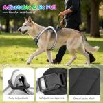 LED Light Up Dog Harness for Night Safety