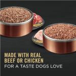 Purina Pro Plan Wet Dog Food Variety Pack