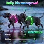 LED Light Up Dog Harness for Night Safety