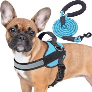 Haapaw Adjustable No Pull Dog Harness - Blue