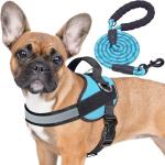 Haapaw Adjustable No Pull Dog Harness - Blue