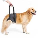 Adjustable Dog Sling for Large Dogs' Support