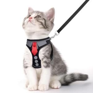 Adjustable Escape-Proof Cat Harness and Leash Set