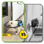 LetPetRun Adjustable Blind Dog Halo Harness