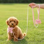 Cute Pink Dog Collar and Leash Set with Bowtie