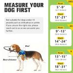 LetPetRun Adjustable Blind Dog Halo Harness