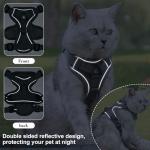 Escape-Proof XL Cat Harness with Leash Set