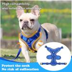 Escape-Proof XL Cat Harness with Leash Set