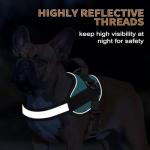 Haapaw Adjustable No Pull Dog Harness - Blue