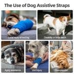 Adjustable Dog Sling for Large Dogs' Support