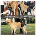 Adjustable Dog Sling for Large Dogs' Support
