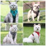 Escape-Proof XL Cat Harness with Leash Set