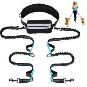 Hands-Free Dog Leash with Pouch for Two Dogs