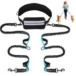 Hands-Free Dog Leash with Pouch for Two Dogs
