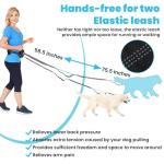 Hands-Free Dog Leash with Pouch for Two Dogs