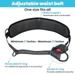Hands-Free Dog Leash with Pouch for Two Dogs