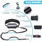 Hands-Free Dog Leash with Pouch for Two Dogs