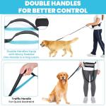 Hands-Free Dog Leash with Pouch for Two Dogs