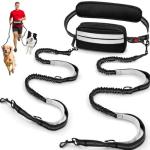 Hands-Free Double Dog Leash with Safety Lock