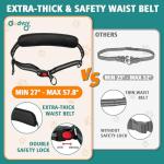 Hands-Free Double Dog Leash with Safety Lock