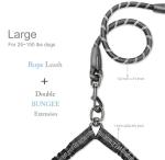 Adjustable Double Dog Leash, No Tangle, Black