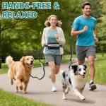 Hands-Free Double Dog Leash with Safety Lock