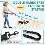 Hands-Free Double Dog Leash with Safety Lock