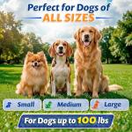 Heavy Duty 16.4 ft Retractable Dog Leash