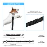 Retractable Dog Seat Belt for Bike Basket