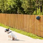39ft Wall Mounted Retractable Dog Leash
