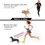 Hands-Free Bungee Dog Leash with Pouch - Black