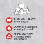 Nutrience Infusion Beef Wet Dog Food, 369g