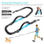 Hands-Free Dog Leash with Zipper Pouch & Handles