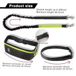 Hands-Free Bungee Dog Leash with Pouch - Black