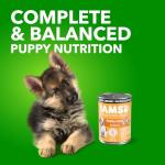 IAMS Proactive Health Puppy Wet Dog Food 12 Pack